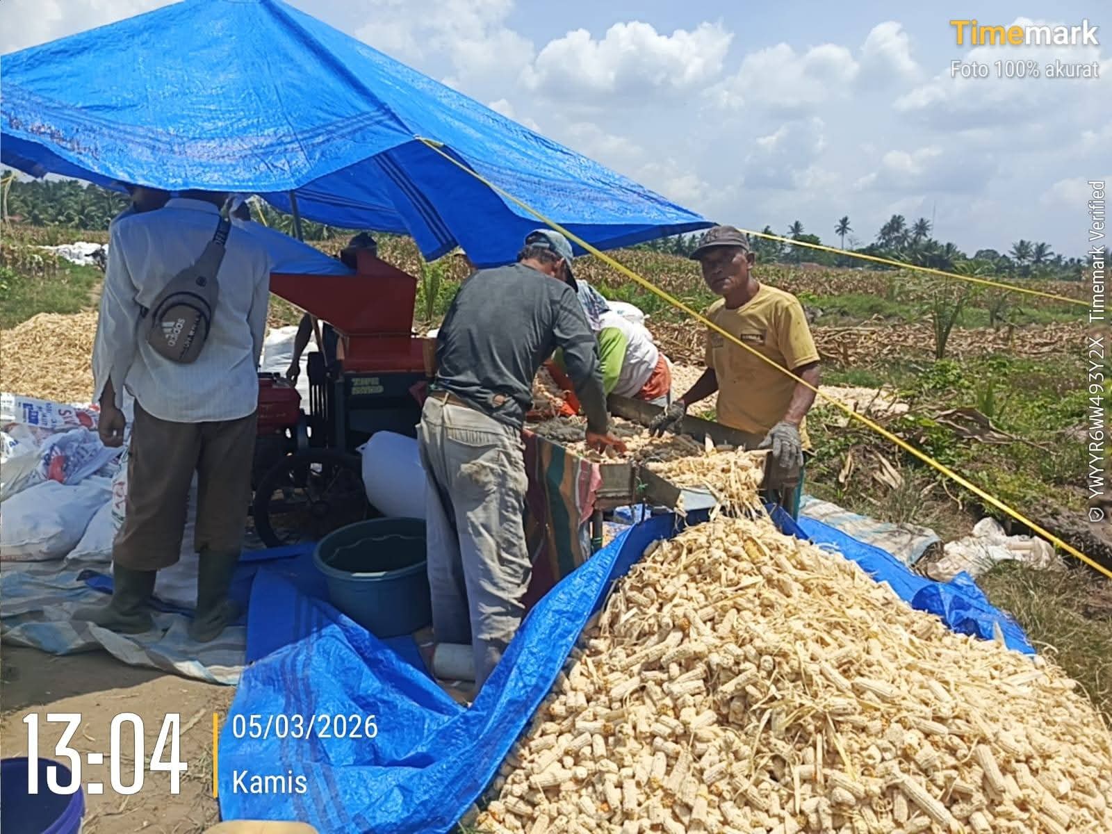 Polsek Bosar Maligas Dukung Program Ketahanan Pangan Presiden RI, Monitoring Penggilingan Jagung di Nagori Parbutaran