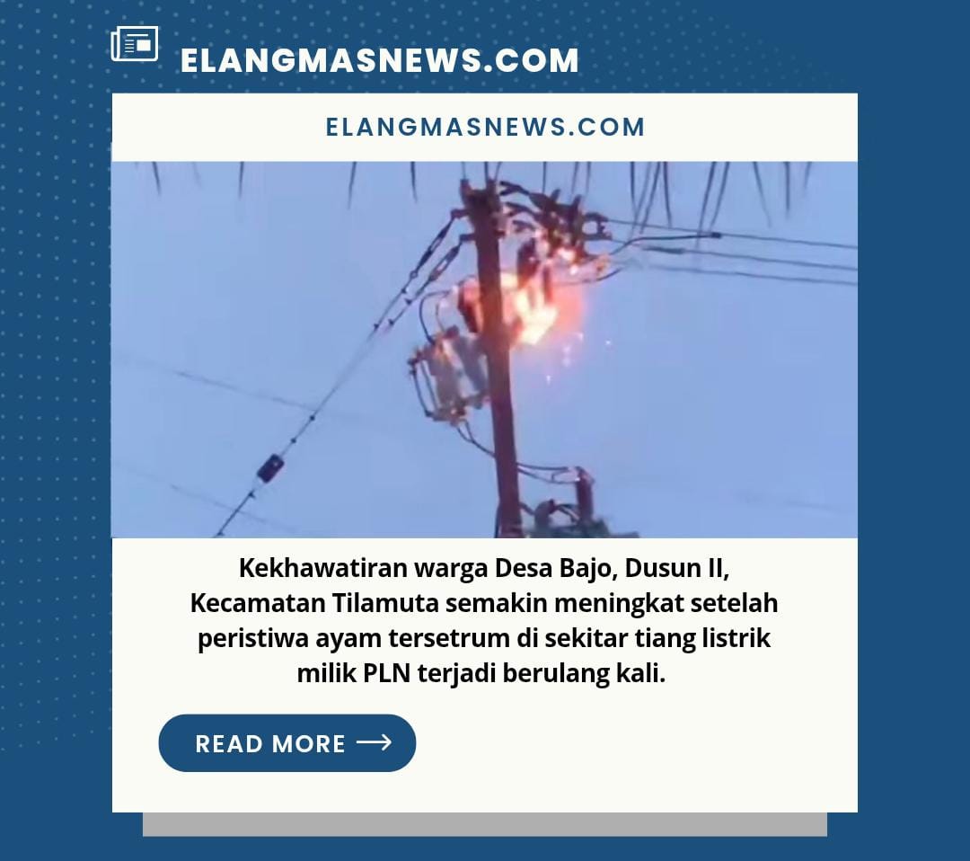 Ayam Kerap Kesetrum di Tiang Listrik, Warga Bajo Minta Relokasi Segera