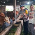 AIPDA NANANG SUMANTRI, S.H. MAS BHABIN SIDOMUKTI AKTIF MONITORING TERNAK, DUKUNG KETAHANAN PANGAN DAN KESEHATAN HEWAN KURBAN