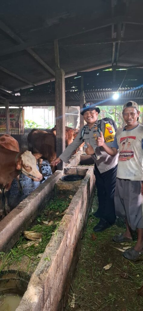 AIPDA NANANG SUMANTRI, S.H. MAS BHABIN SIDOMUKTI AKTIF MONITORING TERNAK, DUKUNG KETAHANAN PANGAN DAN KESEHATAN HEWAN KURBAN