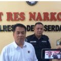 Sat Res Narkoba Polresta Deli Serdang Bersama Polsek Tanjung Morawa Ungkap Kasus Ganja, 40 Batang Tanaman Diamankan