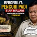 EKONOMI MELEMAH, PENCURIAN PADI MARAK DI SRAGEN: PROF DR SUTAN NASOMAL DESAK PEMERINTAH SEGERA BERTINDAK