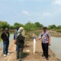 Mega Proyek Revitalisasi Tambak Rp 1,4 T di Pantura Subang Di mulai, 512 Pembudidaya Bakal Terima Dana Kerohiman.