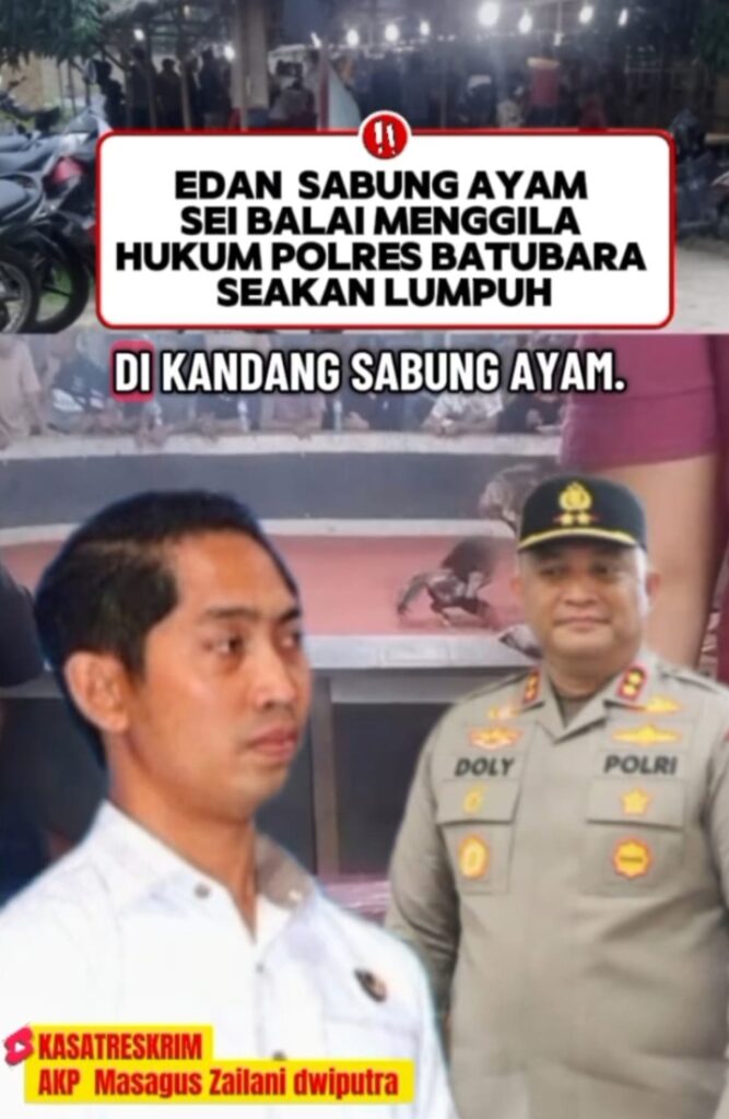 GAWAT! SABUNG AYAM DI SEI BALAI DIDUGA MAKIN LIAR, PUBLIK SINDIR KAPOLRES BATUBARA TAK BERDAYA?
