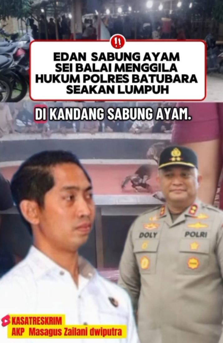 GAWAT! SABUNG AYAM DI SEI BALAI DIDUGA MAKIN LIAR, PUBLIK SINDIR KAPOLRES BATUBARA TAK BERDAYA?