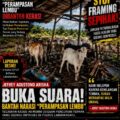 “Kami Korban, Bukan Pelaku!” Jefrey Tegaskan Kasus Lembu di Labuhanbatu Adalah Dugaan Pencurian