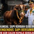 Dugaan Skandal Sapi Kurban Gubernur, Aktivis Soroti Dugaan Jual Beli Jabatan di Diknas Sumsel