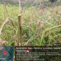 Kasus SKT Ganda: LSM CCN Kawal Hukum Warga, Minta Pemerintah OKU Selatan Bertindak Tegas