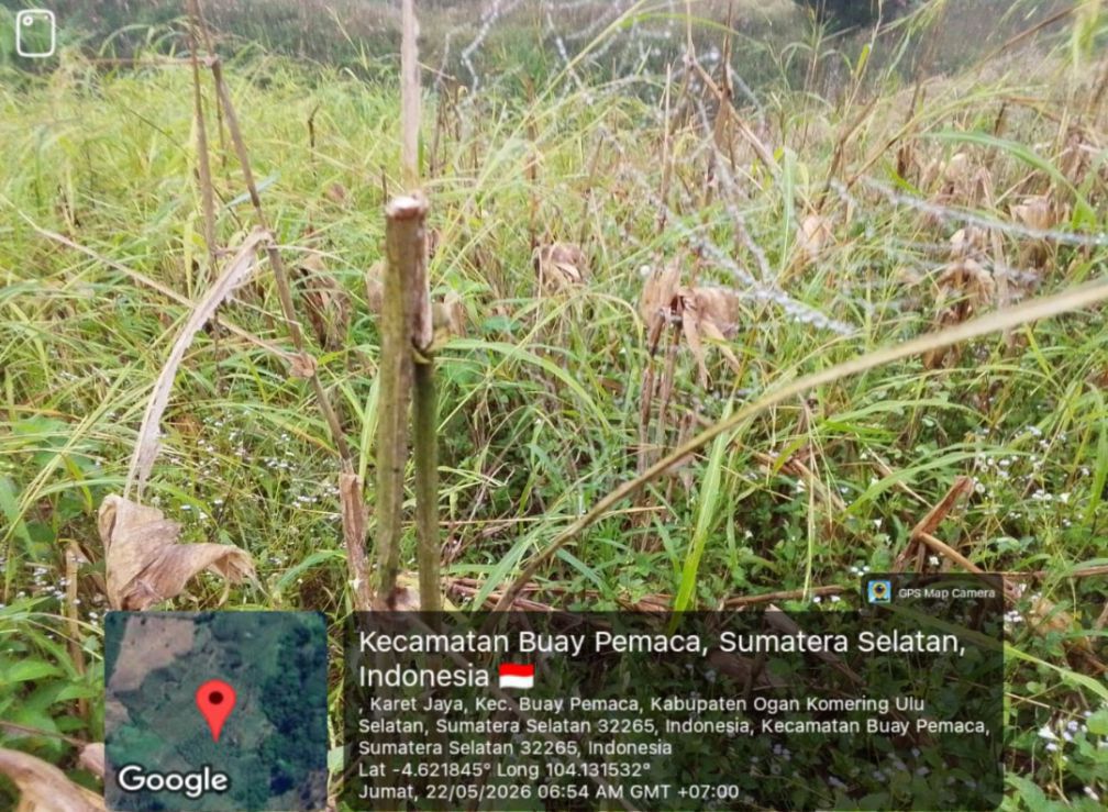 Kasus SKT Ganda: LSM CCN Kawal Hukum Warga, Minta Pemerintah OKU Selatan Bertindak Tegas
