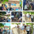 *PENYERAHAN HEWAN QURBAN DONATUR UNTUK ANAK YATIM PIATU DI PONPES AL JIHADUL KARIM*