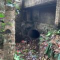 Tumpukan Sampah Cemari Kali Mati Karang Tanjung, Warga Desak Penegakan Perda K3 dan Pengelolaan Sampah