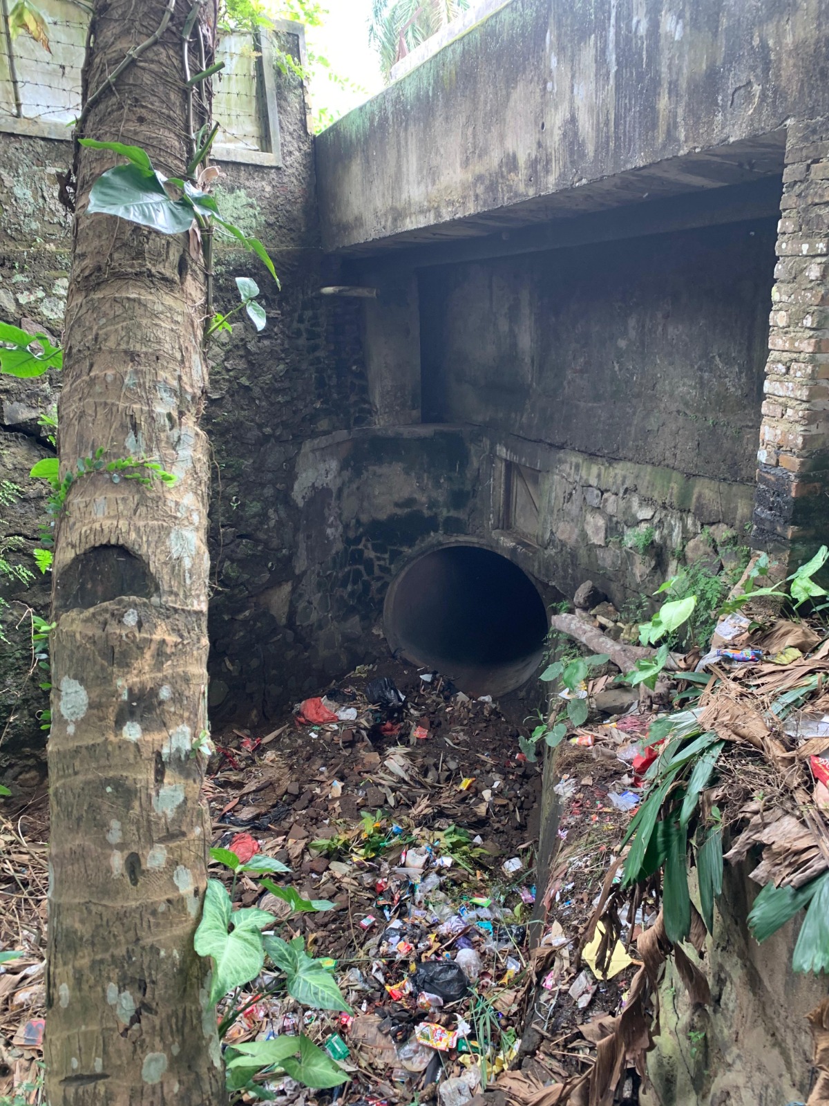 Tumpukan Sampah Cemari Kali Mati Karang Tanjung, Warga Desak Penegakan Perda K3 dan Pengelolaan Sampah