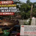 Lapor Cak Erik!! Kampung Warugunung Kalangan Sambung Ayam Dan Dadu besar Beraktivitas Kembali