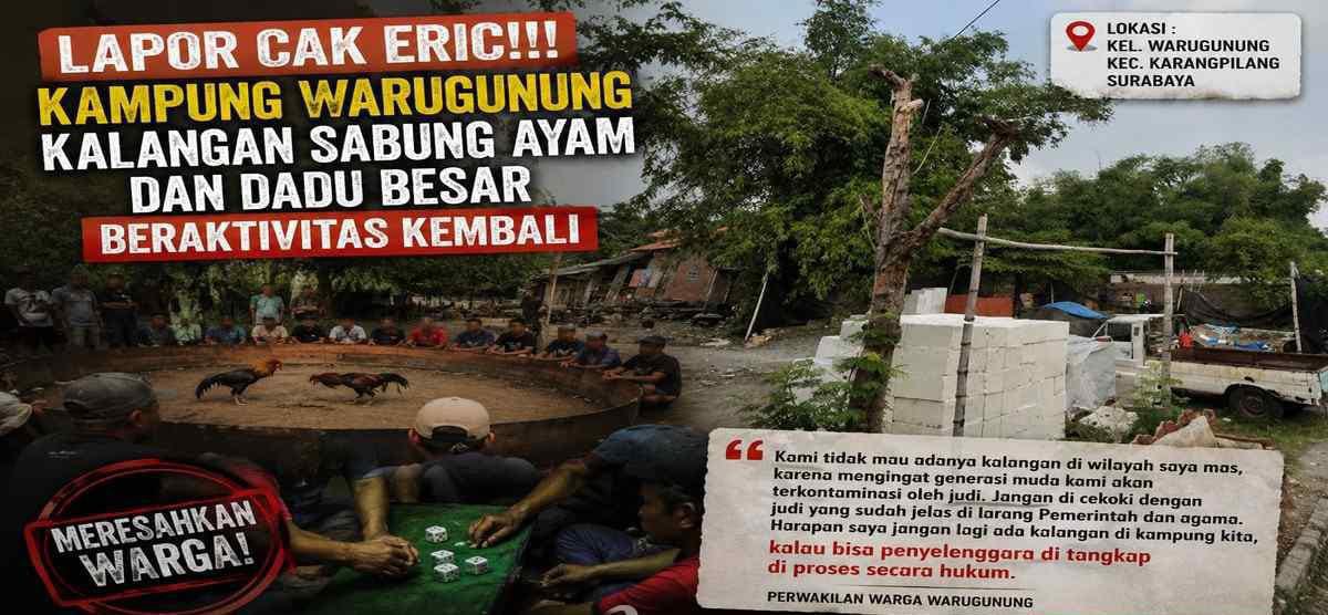 Lapor Cak Erik!! Kampung Warugunung Kalangan Sambung Ayam Dan Dadu besar Beraktivitas Kembali