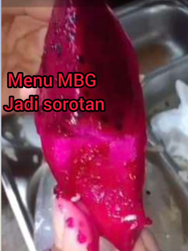 Tiga Kali Berturut-Turut Menu MBG di SMAN 1 Tuhemberua Tidak Layak, Ikan Lele Bau Busuk, Sayur Basi dan Buah Naga Jadi Sorotan