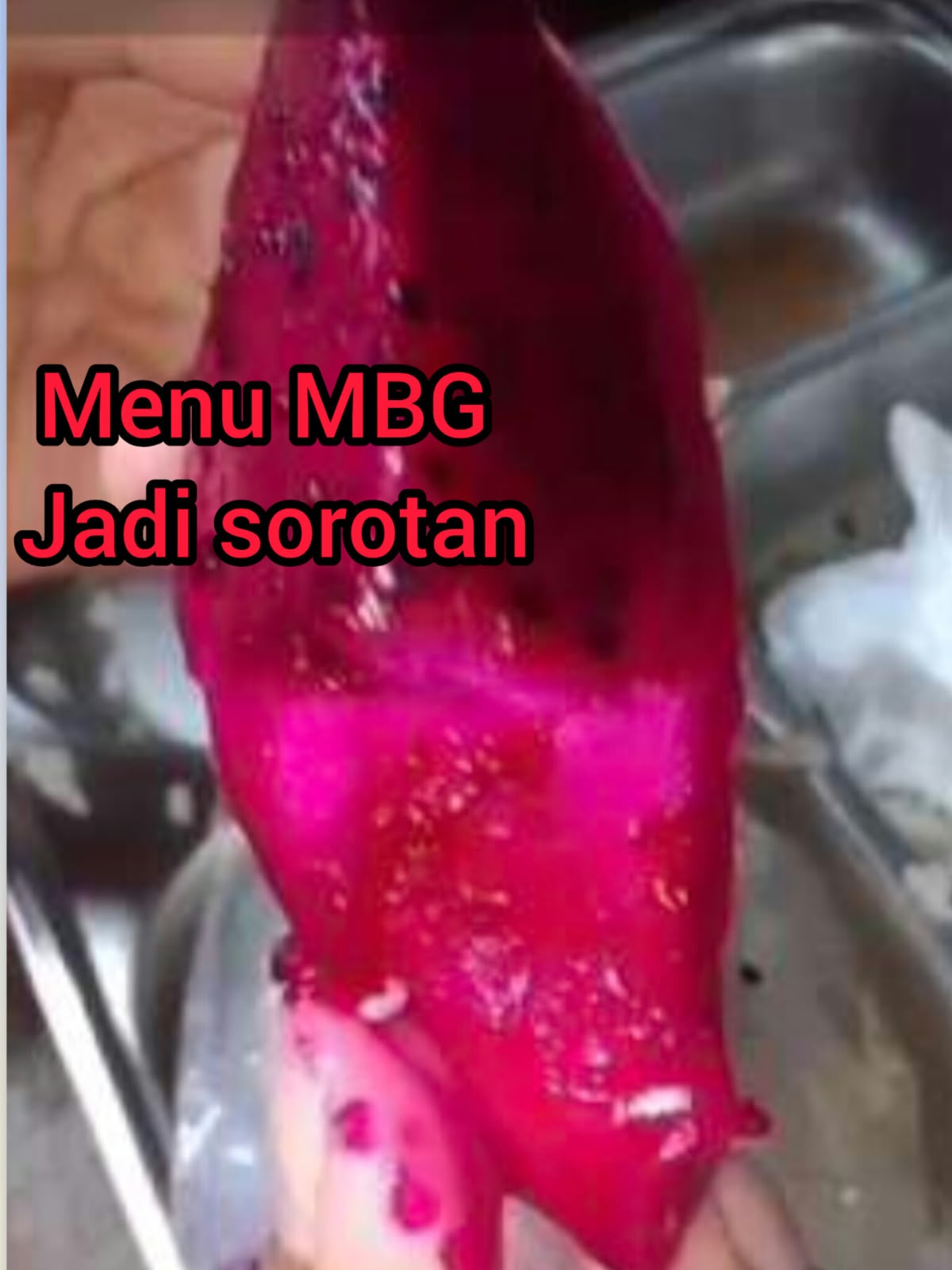 Tiga Kali Berturut-Turut Menu MBG di SMAN 1 Tuhemberua Tidak Layak, Ikan Lele Bau Busuk, Sayur Basi dan Buah Naga Jadi Sorotan
