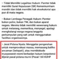 Ironi Pamter Dan Paradoks Semangat Persaudaraan Buka Mata Jangan Mau Diadu Domba