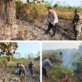Geger Jalinsum OKU! Lahan 2.000 Meter Persegi Terbakar, Tim Gabungan Berjibaku Jinakkan Api