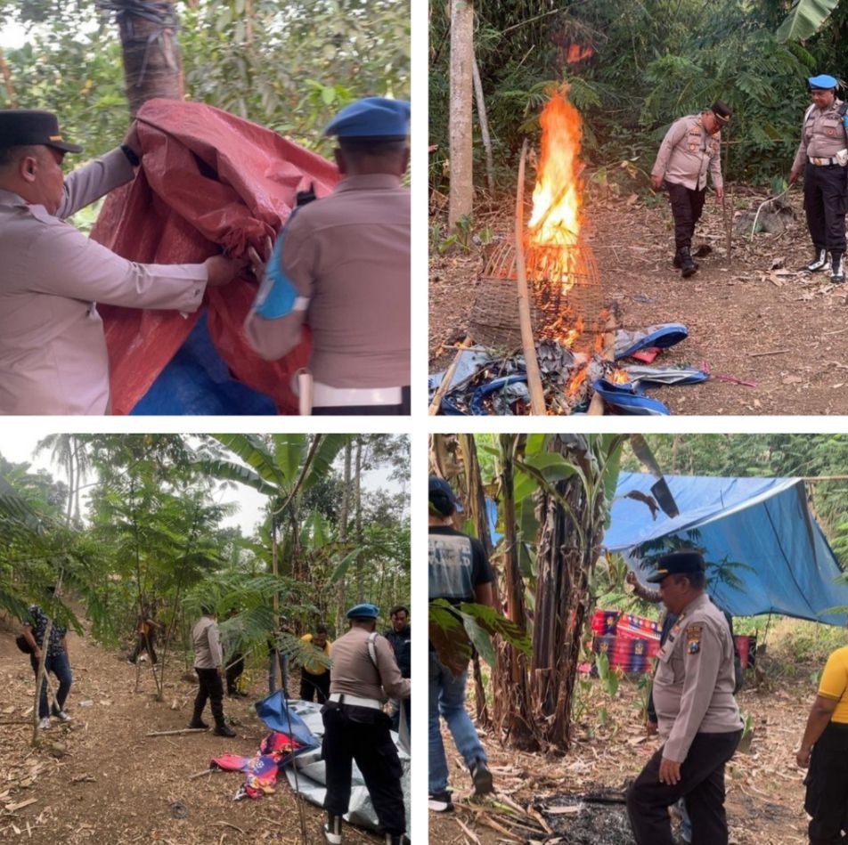 *Polisi Bongkar dan Bakar Sisa Lokasi Sabung Ayam di Pakisaji Malang*