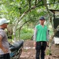 Cepat Tanggap Laporan Warga, Kapolsek Silou Kahean Pimpin Penggerebekan Diduga Lokasi Narkoba di Simanabun