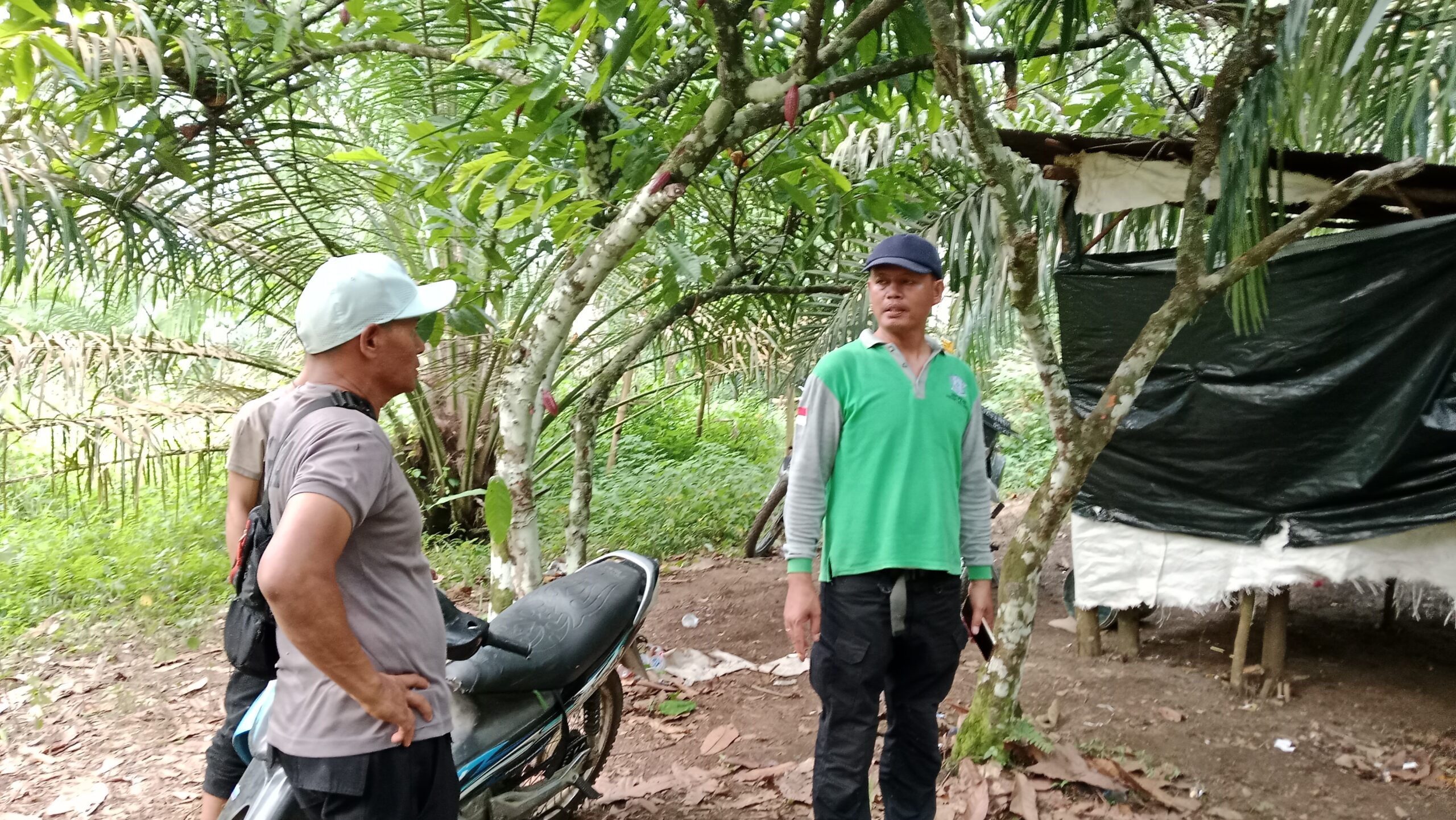 Cepat Tanggap Laporan Warga, Kapolsek Silou Kahean Pimpin Penggerebekan Diduga Lokasi Narkoba di Simanabun