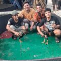 Jejak Eks Kutalimbaru: ‘Edy alias Sembiring’ Disinyalir Buka Lapak Judi Dadu dan Sabung Ayam di Telaga Sari
