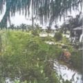 Sengketa Tanah Deli Serdang Bergulir ke Pengadilan Tinggi Medan Warga Gugat Dugaan Dokumen Fiktif dan Penyerobotan Lahan