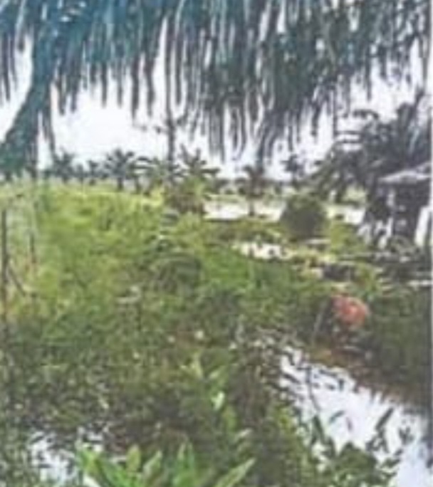 Sengketa Tanah Deli Serdang Bergulir ke Pengadilan Tinggi Medan Warga Gugat Dugaan Dokumen Fiktif dan Penyerobotan Lahan