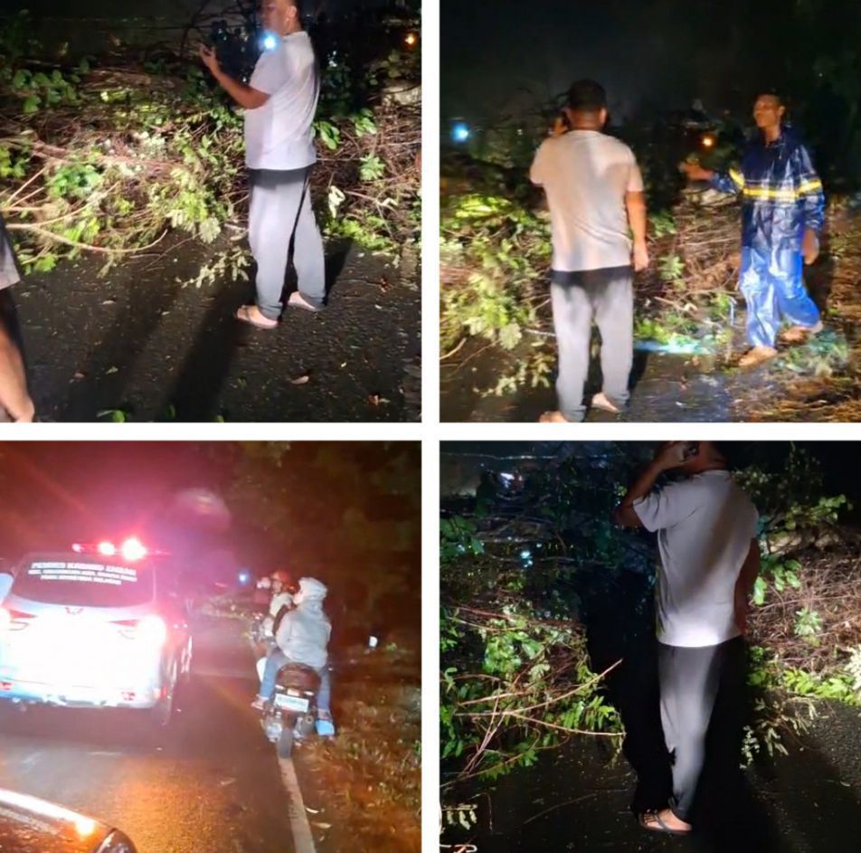 Pohon Tumbang di Desa Gunung Meraksa, Warga Diimbau Waspada Saat Hujan Disertai Angin