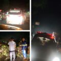 Hujan Deras dan Angin Kencang Tumbangkan Pohon di Jalur Lintas, Polisi dan Warga Bergerak Cepat