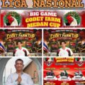 *Codet dan Aan Gelar Perjudian Laga Ayam di Kota Binjai, Polisi Diduga Tutup Mata*