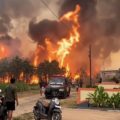 DEWAN PAKAR DPP LSM ELANG MAS Prof Dr Sutan Nasomal Harapkan Presiden RI Tugaskan Panglima TNI Kapolri Perangi Penjahat dan Hukum Mati Pelaku Pembakaran Hutan