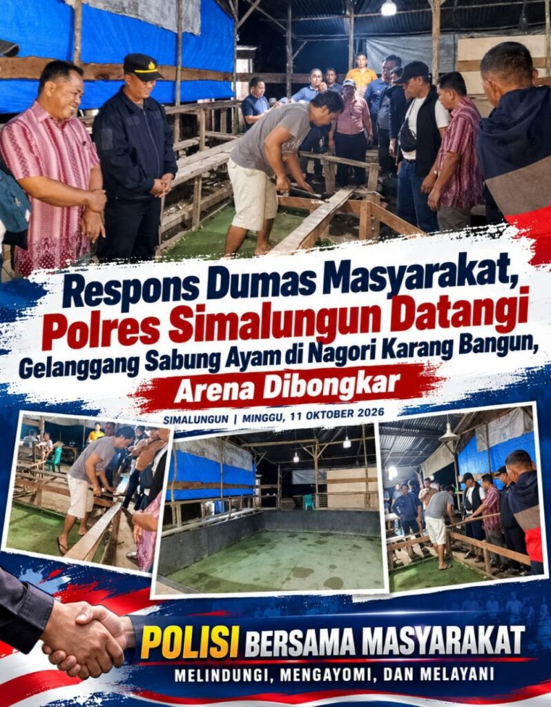 Respons Dumas Masyarakat, Polres Simalungun Datangi Gelanggang Sabung Ayam di Nagori Karang Bangun, Arena Dibongkar