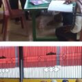 POSYANDU LANSIA DI DESA GEDUNG NEGARA, UPAYA MENJAGA KESEHATAN MASYARAKAT DI USIA SENJA LAMPUNG UTARA,